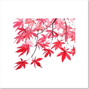 red maple leaves watercolor painting 2 Posters and Art